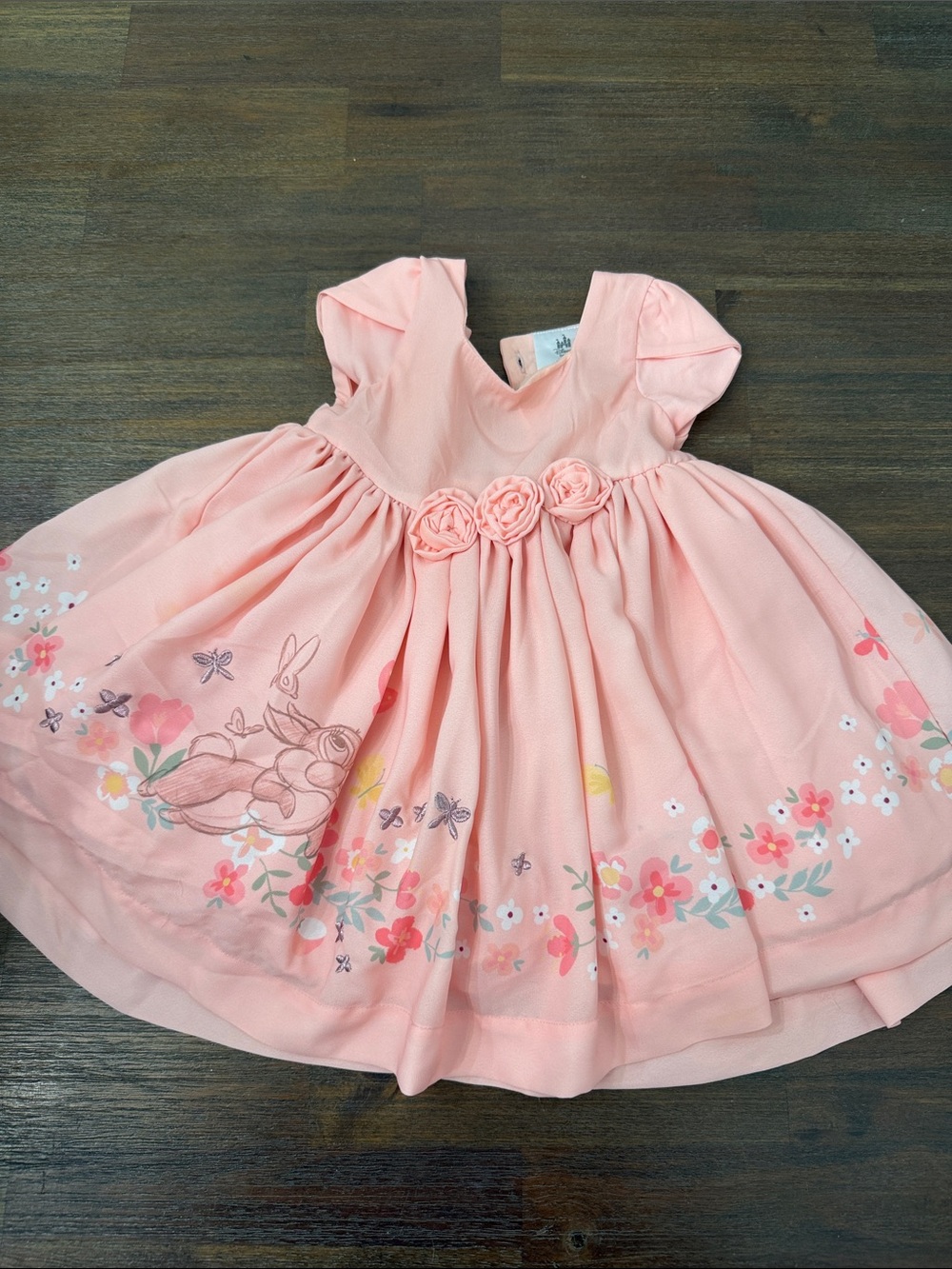 Disney Peach Pink Floral Rosette Party Dress